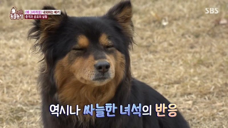 드립짤모음 tweet media