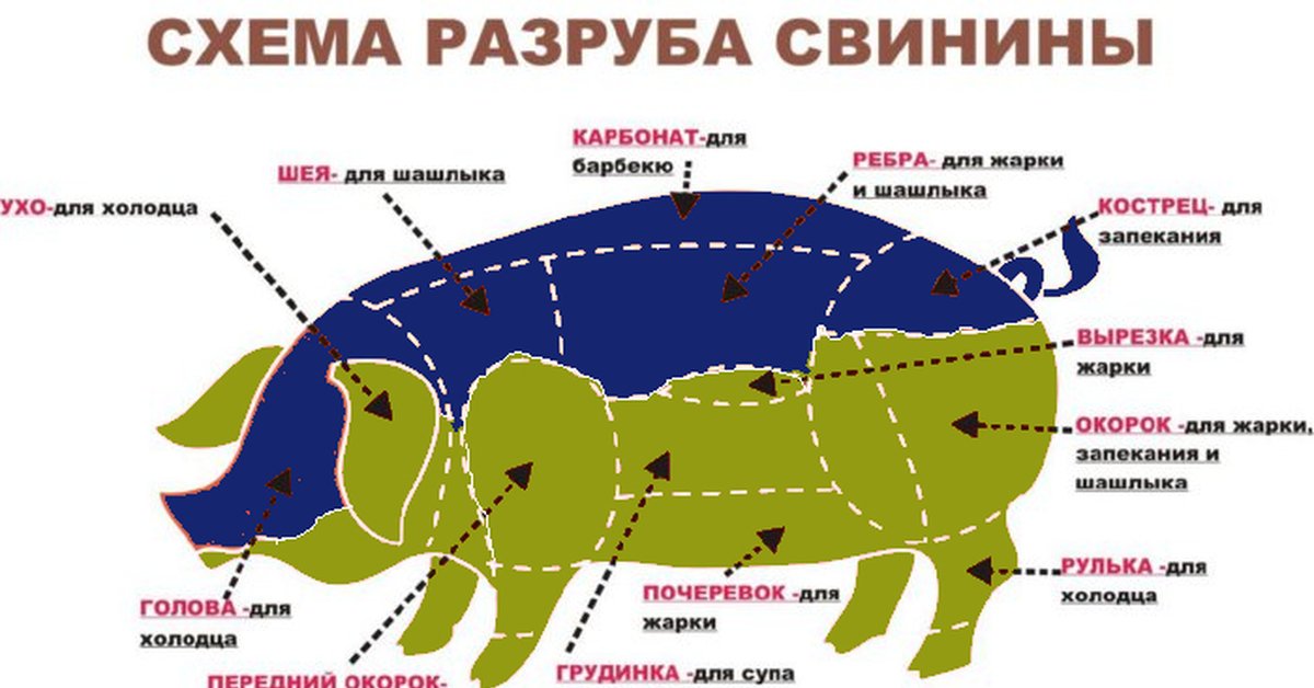 dirty_hihil's tweet photo. @999_reee_1 Вот так выглядят эти завоеватели https://t.co/2WhTsTslb2
