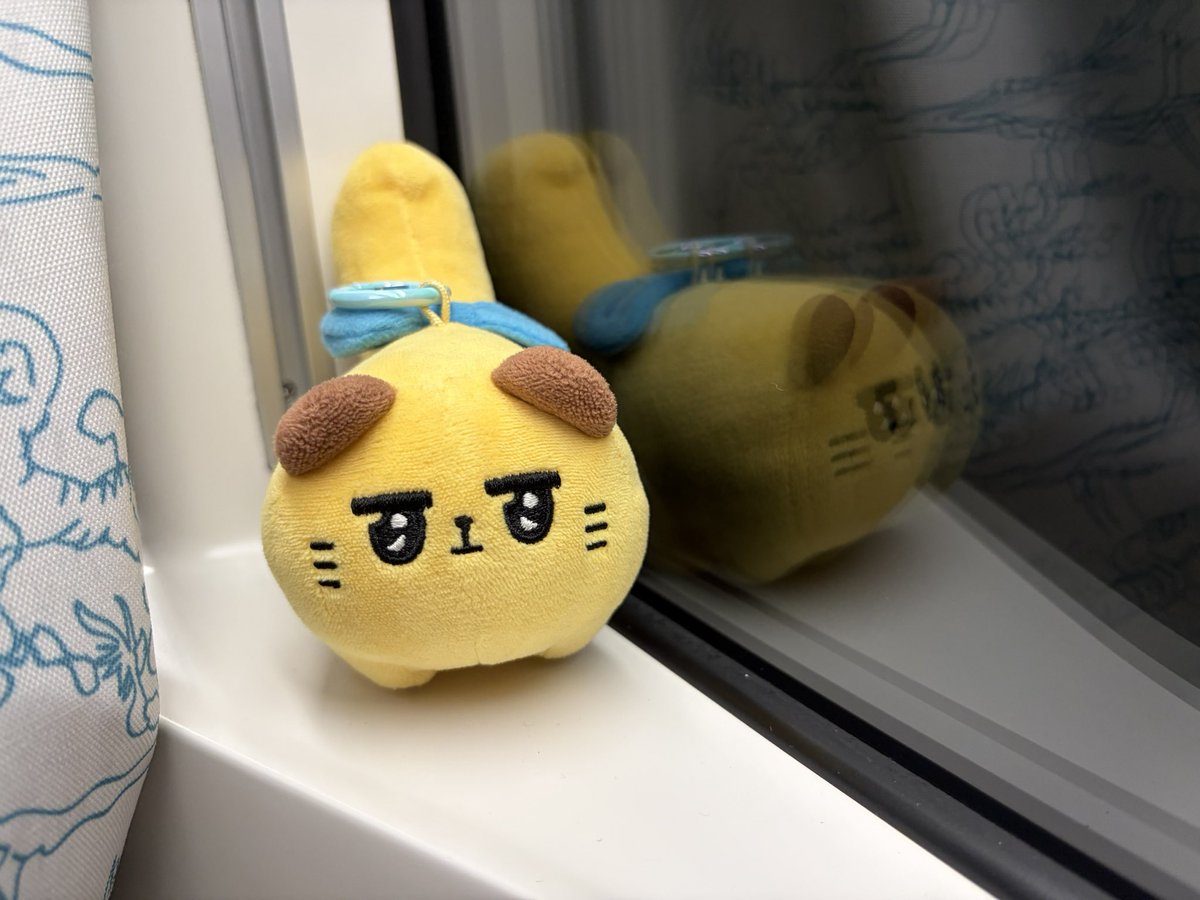 inu28g's tweet photo. ばにゃ！行くぞっ！ https://t.co/rBUTYzGQV3
