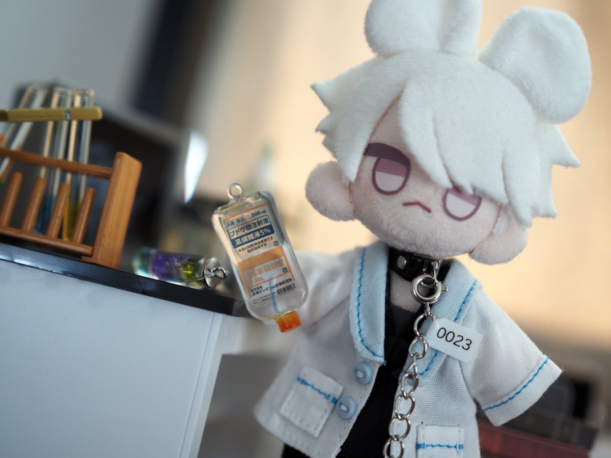 ポ研 tweet media