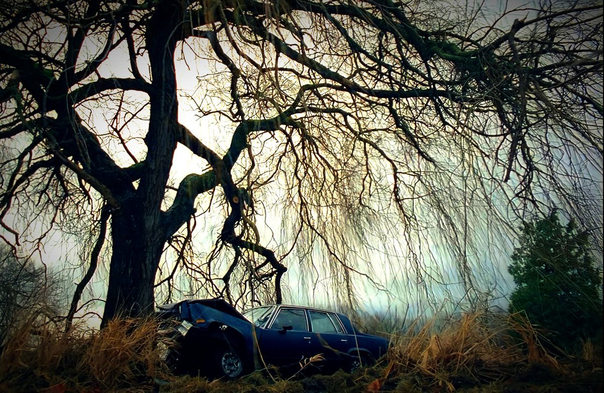 XFilesAesthetic's tweet photo. Beautiful aesthetics of The X Files ✨ https://t.co/128NGnO4t7