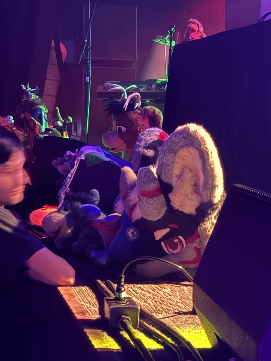 joshrulzok's tweet photo. Fucking morris jackrabbit bro https://t.co/Fjml2kAHLX