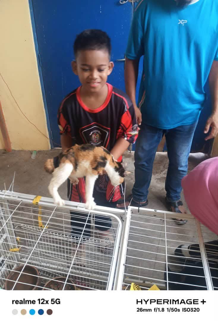kyril_graguks's tweet photo. Alhamdulillah kawan2. Alhamdulillah.Kesemua anak2 bulus malang berbaki 17 ekor, semuanya telah berjaya mendapat keluarga angkat yg baru.Terima kasih atas sokongan semua dlm memberi peluang kehidupan ke 2 yg lebih baik buat anak2 bulus malang ni.Ya walau byk dugaan,kita boleh💪. https://t.co/LkHs7bm0Wj