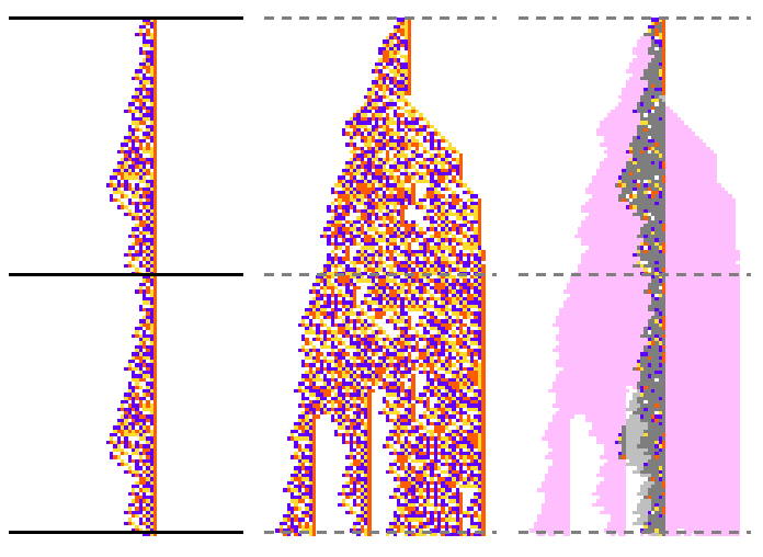 Wolfram High School Summer Research Program作品紹介】 私たちは