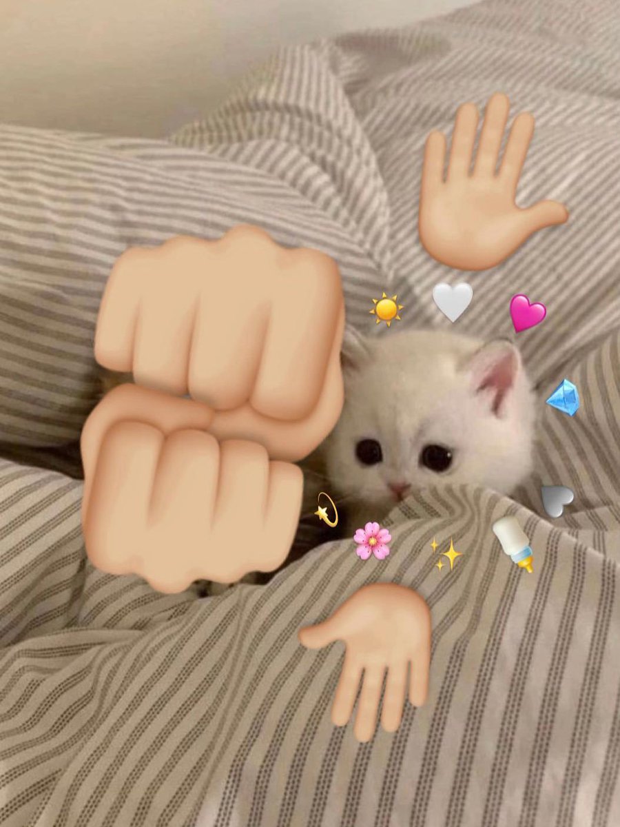 Catsillyness's tweet photo. https://t.co/bNzm8kUYOc