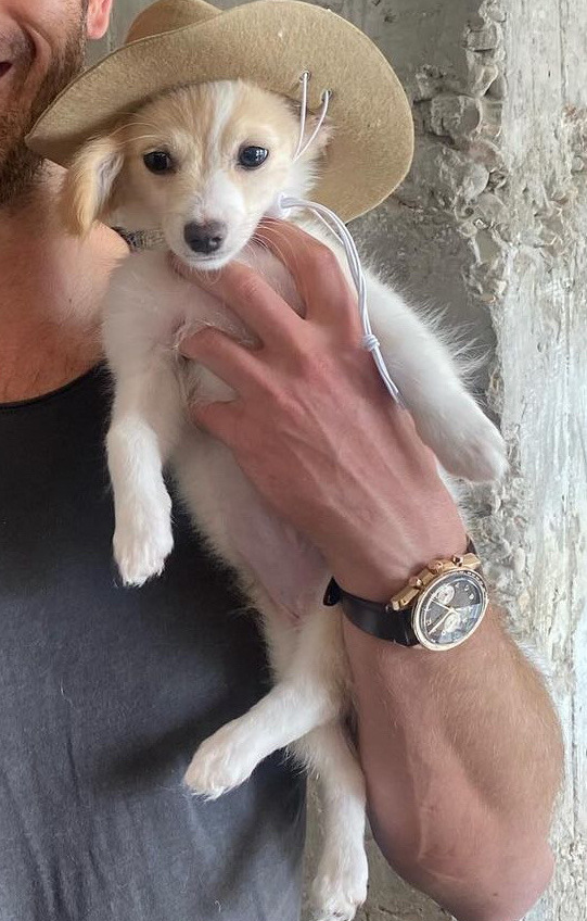 COSMICLUSTINGS's tweet photo. man's  best  friend . 🐶 https://t.co/uJjIjdpWEF