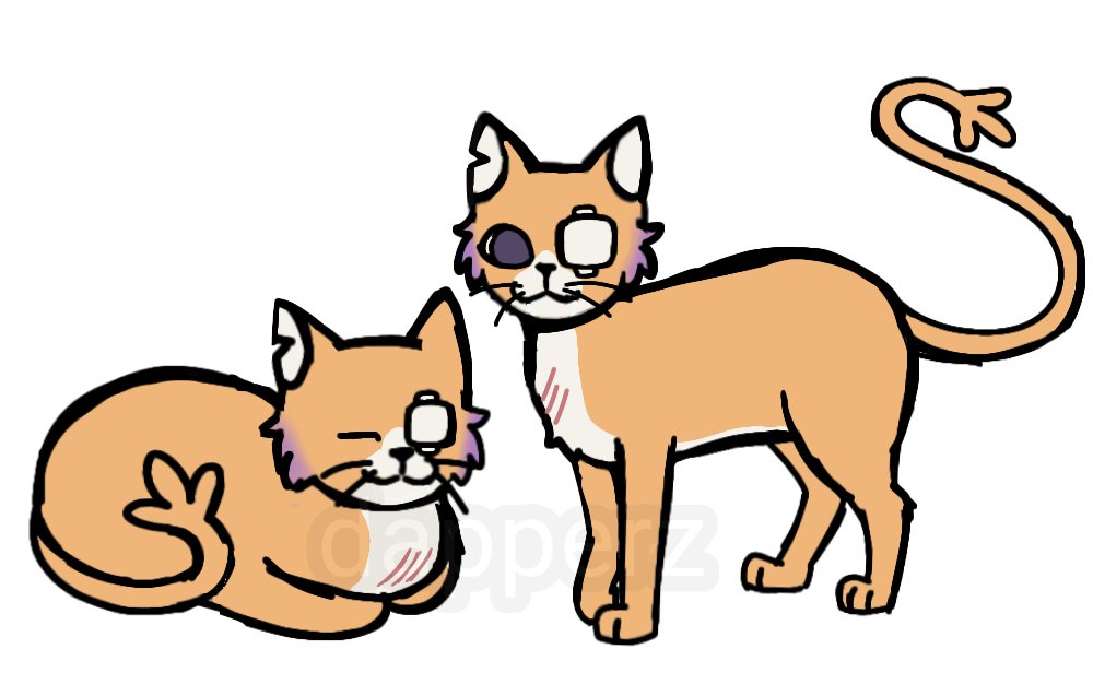 _dapperz_'s tweet photo. very normal cat #flavorfoley_fa https://t.co/69R4CGxamh