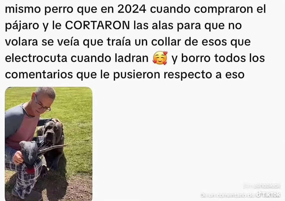 Drizdoc's tweet photo. @cerezobag https://t.co/O6SkeIsb2E
