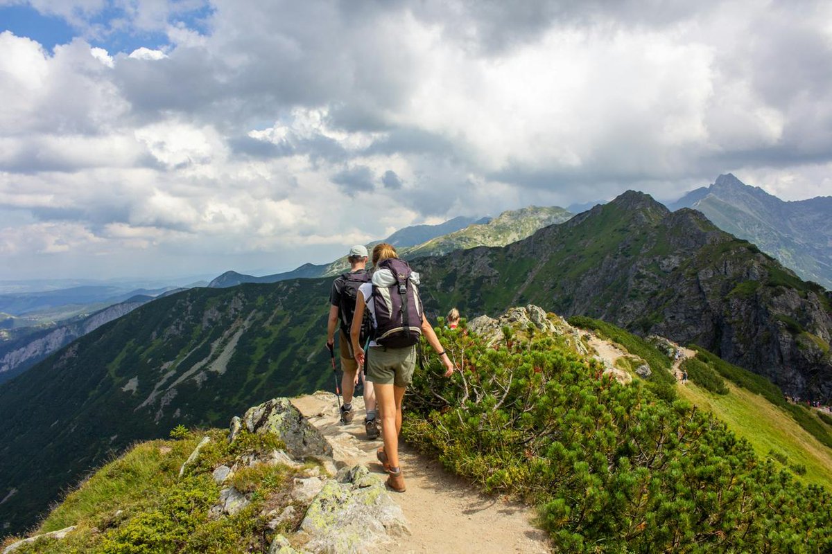 Martinscampshop's tweet photo. Great views aren't found by accidentโthey're earned one step at a time.
https://t.co/VqCi0Zi3Y9
#TrailLife #MountainHiking #OutdoorJourney #NatureEscape #ExploreNature #AdventureCulture #StayOutside #ScenicViews #GoExplore #CampingLife https://t.co/eGcDSw35Z6