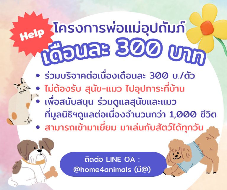 pastloverwarm_'s tweet photo. ชอบเวลาเห็นอะไรแบบนี้ในตารางน้องๆมาก อนุโมทนาบุญนะคะ 🥺🙏🏻 ส่วนใครสนใจอุปถัมภ์น้องๆ รายเดือน เดือนละ 300 น้า ทักไลน์ได้เลยค่ะ ทางพี่ที่ดูแลจะส่งเป็นไฟล์ให้เราได้เลือกน้องๆค่ะ (ตอนนี้มีแต่น้องหมานะคะน้องแมวยังไม่มีอุปถัมภ์เป็นรายเดือนค่ะ) ในไฟล์จะมีบอกชื่อ บอกอาการน้องด้วยน้า ตัวไหนดุทางพี่เค้าจะแจ้งด้วยว่าดุหรือดุมากกก 55555 น่าเอ็นดูทุกตัวเลย ฝากด้วยนะคั้บ 🩷