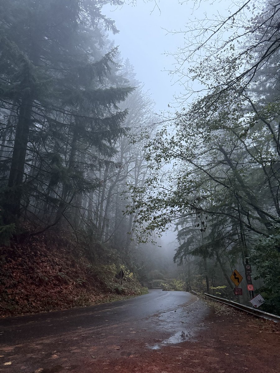 kenneth_thought's tweet photo. My best PNW aesthetic photos tbh https://t.co/J1g8fTHu3G