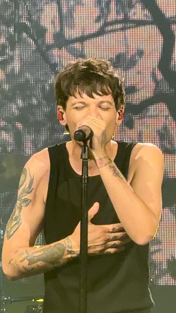 louistbr's tweet photo. 📸 • Pessoas na Flórida acabaram de vivenciar Louis cantando No Control de regata! 😮‍💨#HDWGHWTOrlando 

via wldflwrlouis https://t.co/q6kIhZlg1P