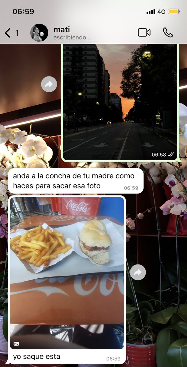 Alejo tweet media