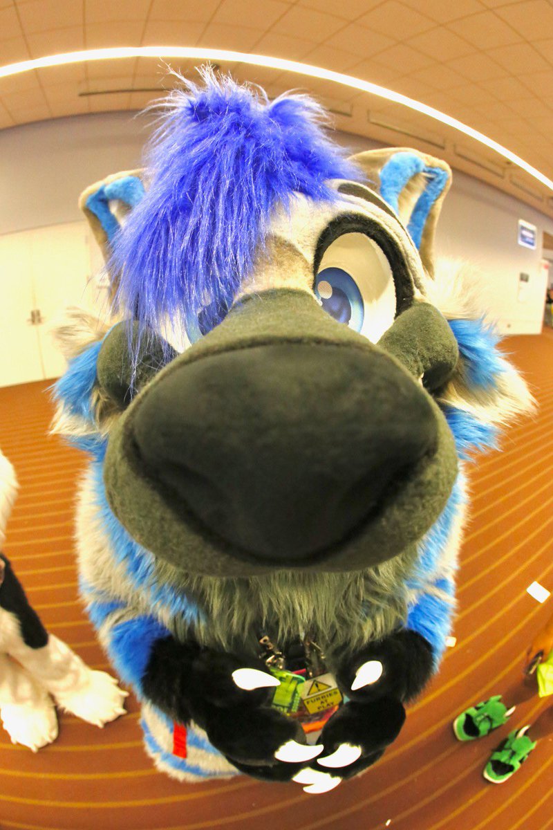 MiloTheYeen's tweet photo. 🚨Sniff Inspection🚨 https://t.co/ASe5R6LBGz