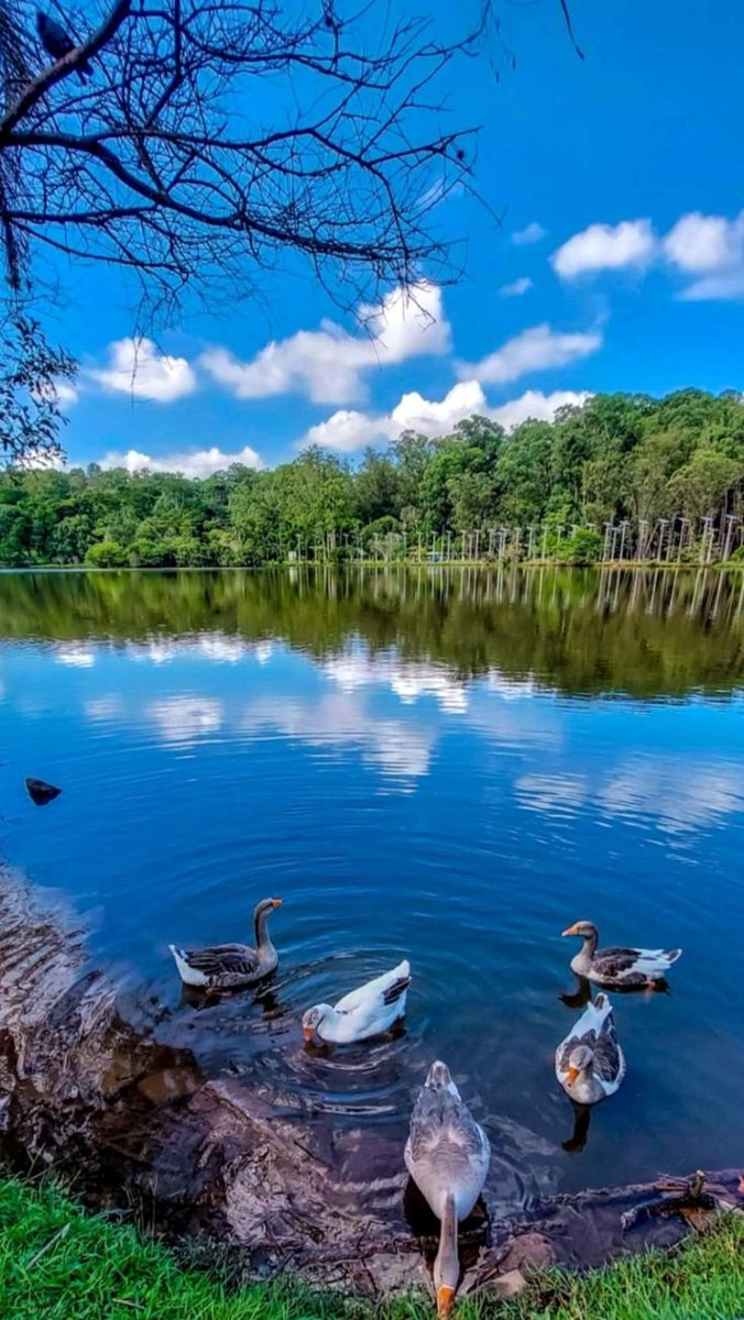 TasteExplowd's tweet photo. Beautiful view https://t.co/vpj9hYJzNW