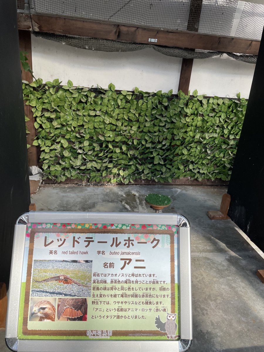 cooking0702's tweet photo. そん……な……

留守…… https://t.co/xB1fcWHv2s