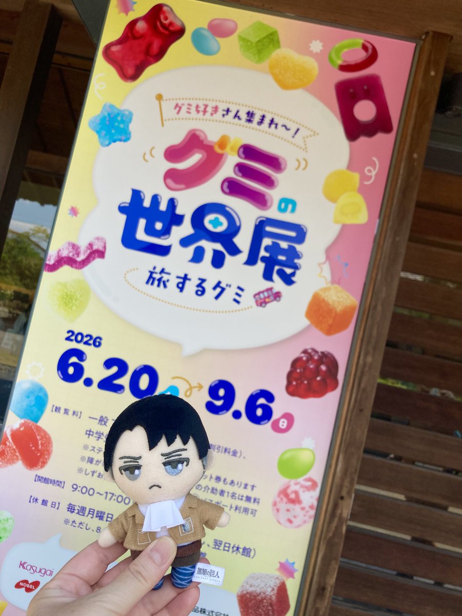 葵 tweet media