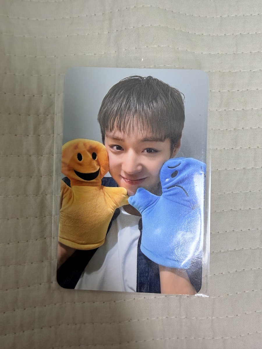 S2_puppyhoon's tweet photo. 띠훙 공식 포카 나눔 이벤트 
#RT 

팔로우 및 댓글 자유
🎀 첨부한 사진 순서대로 1,2,3,4 랜덤 추첨
🎀 총 4명 추첨 
🎀 08/03-04 중 당발 
🎀 택배비 O 
🎀 참저삭 https://t.co/wLiOY3eqyv
