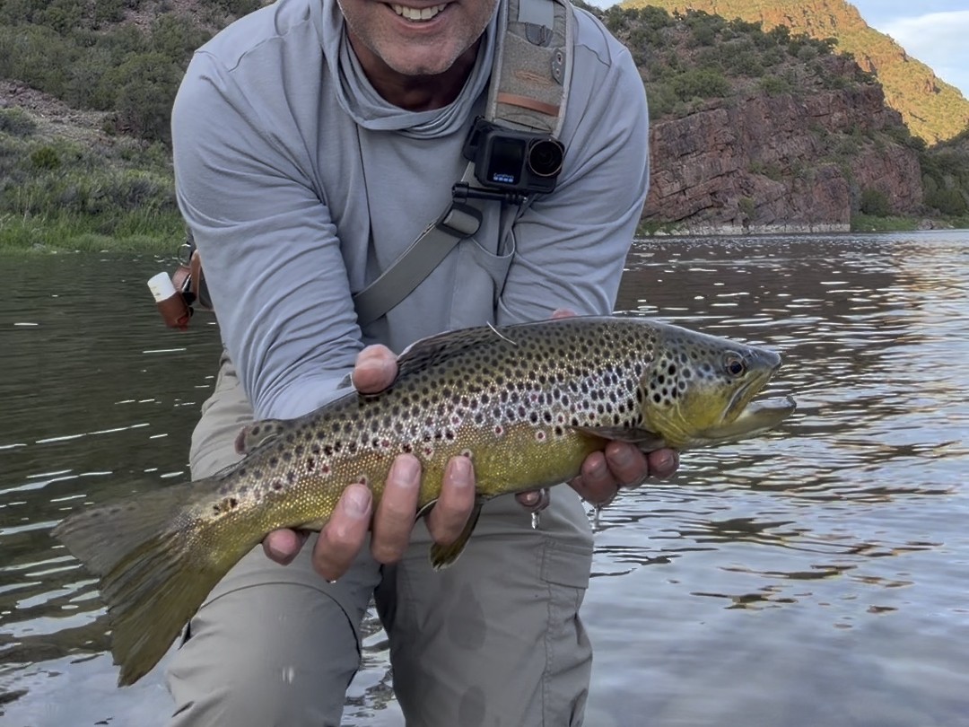 BPFlyfishing's tweet photo. Fishing rafts that can slide into the bed of a truck make it really easy to load and unload on a float trip.  This Dave Scadden raft worked great on our recent trip down the Green.

-Green River, UT

#flyfishing #flyfishinglife #flyfishingadventure #browntrout #greenriver #utah https://t.co/YbQaIwDWrJ