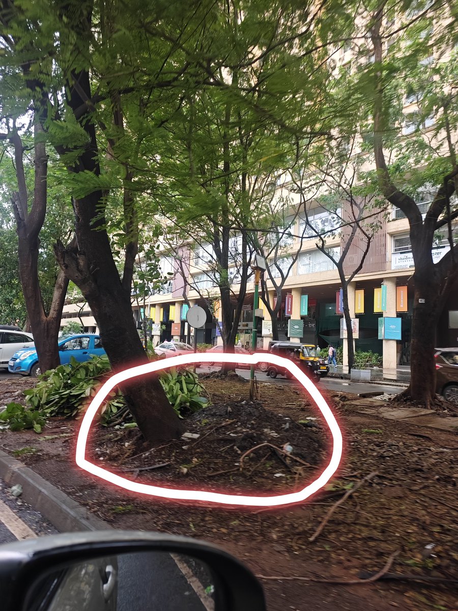 vickstudsmart's tweet photo. A tree located near Rustomjee Urbania, opposite KFC, Thane (W) appears to be dangerously tilted and is at risk of falling. The condition of the tree seems hazardous, especially considering the heavy pedestrian and vehicle movement in this area. @thanecity  @TMCaTweetAway https://t.co/suKr2zvezx