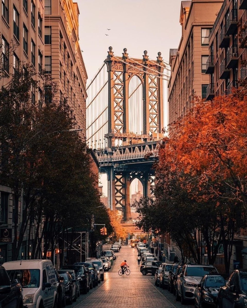 NatureRoot88's tweet photo. New York, USA 🇺🇸 https://t.co/oGkVqZ0Di5