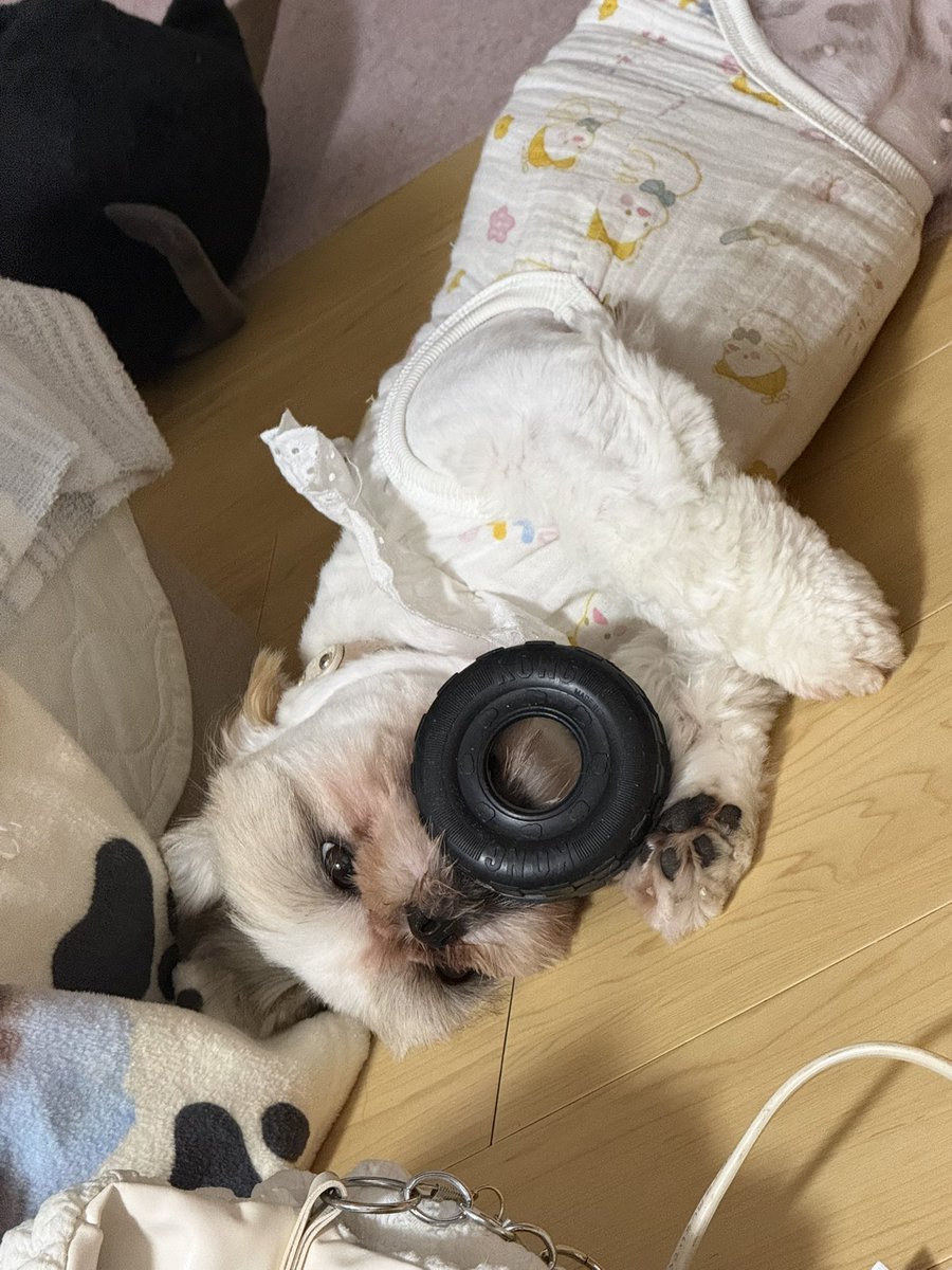 mekamarin's tweet photo. タイヤマン https://t.co/6SiGZgzyAG