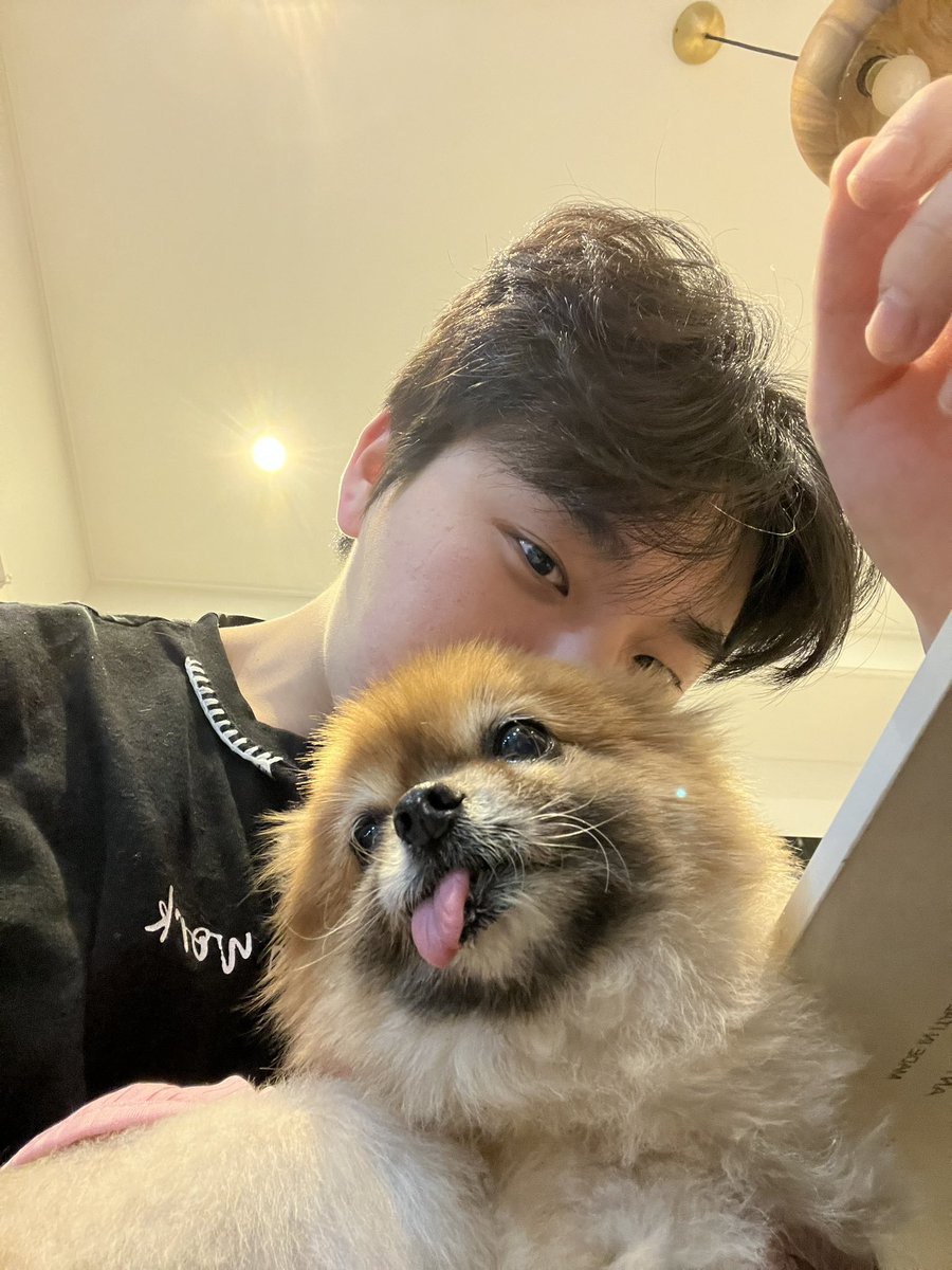 sugar_popopo's tweet photo. 귀여움×귀여움
동물 사랑 페이즈 🐨 https://t.co/7tWwKxzYxs