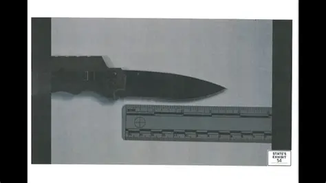 bugeatingcrazy's tweet photo. @Pillow_Thighs @jj_wisco_vet @SchulteLaura Ask Karmelo Anthony how easy it was to kill with a single knife strike.  The ghost of Austin Metcalf may have an opinion as well. https://t.co/GsLzfeEiRw