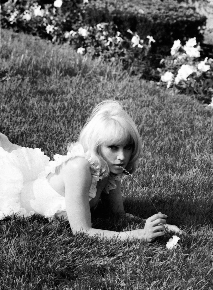 harshnoiseangel's tweet photo. ⋆˚𝜗𝜚˚⋆ madonna in wonderland by steven meisel 1992 ⋆˚𝜗𝜚˚⋆ https://t.co/qxYsDhyQHJ