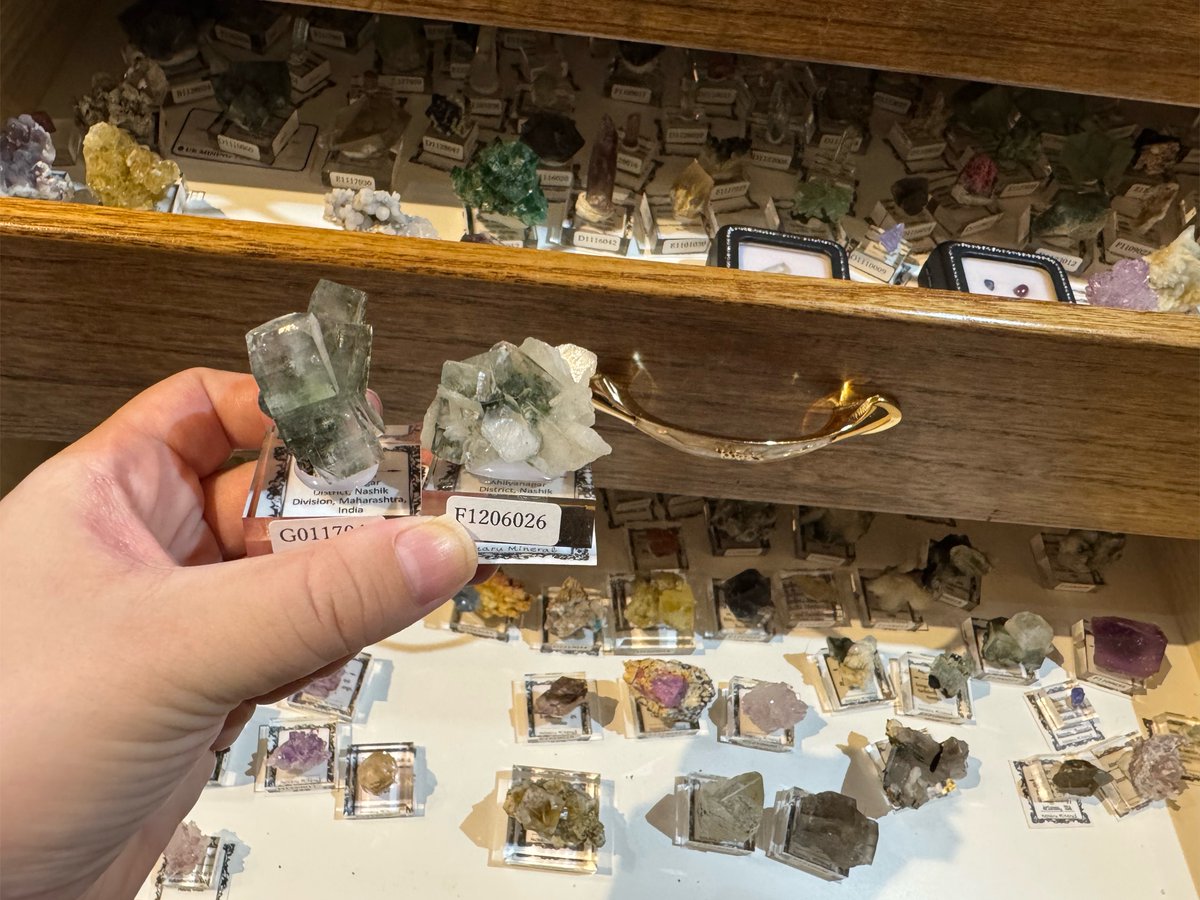 hotarumineral's tweet photo. 最近、オンライン在庫を店舗で見て、元の棚に戻せない方が増えております…！
01のアポフィライトが12の棚に、12のアポフィライトが11の棚に入っておりました。

マナーの悪さが続くようなら、オンライン在庫棚は店内で見るのを制限します。
本当にお気を付けください。 https://t.co/AMarqMTOmC