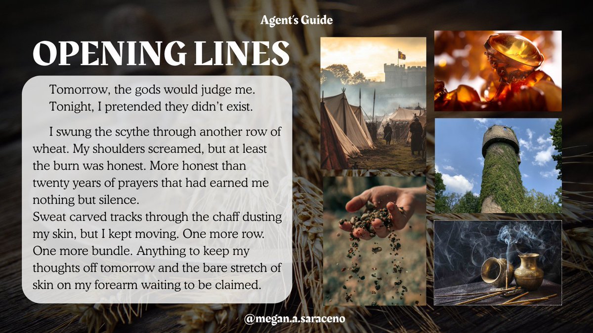 meganasaraceno's tweet photo. ✨What if Mulan had magic, and instead of being rejected as a bride, she was rejected by the gods?

🌪️ Forbidden elemental magic
🎭 A stolen identity
❤️‍🔥 A dangerously perceptive commanding officer

⚔️SONG OF THE SICKLE⚔️

 #Questpit #Q #A #F #R https://t.co/YTaRtfpkzI