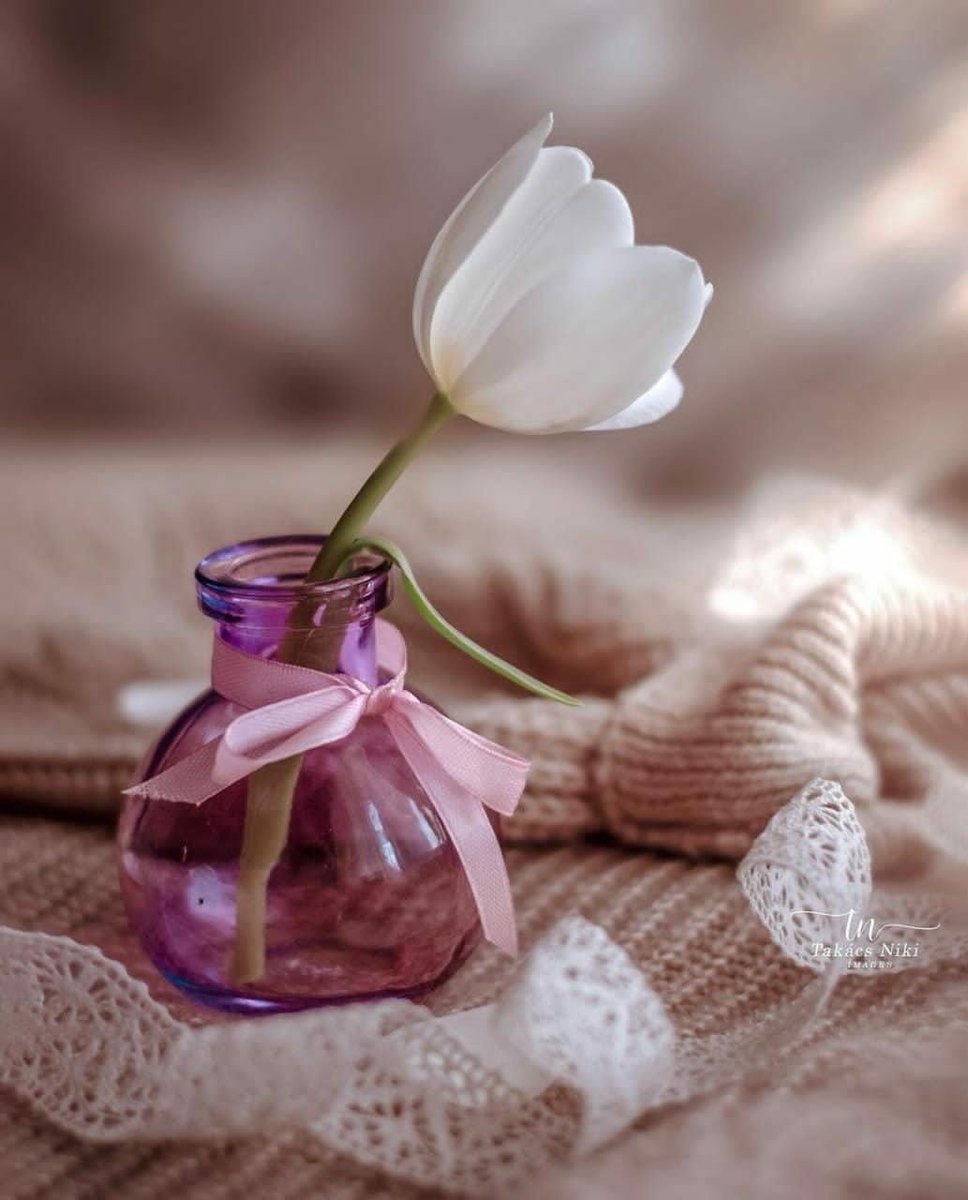 Amal_ab13's tweet photo. عندما تلاحظ أن محبتك تُزرع في قلوب الناس من حولك دون أدنى جهد منك ، فيطمئنون لك وتهدأ أرواحهم ويكون لك القبول دائماً أينما حللت وارتحلت ، كأن الأرض تحبك والناس مسخرة لك..
   فعلم أنها نعمة إلهية عظيمة لأنك أُكرمت بروح طيبة ، بروح شافية جابرة للخواطر ، تطوف الأرض وتنشر الحب..
دمتم سالمين