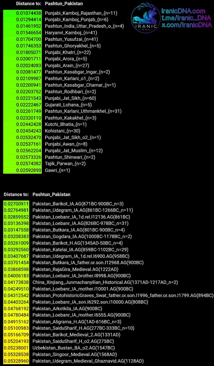 Iranic DNA tweet media