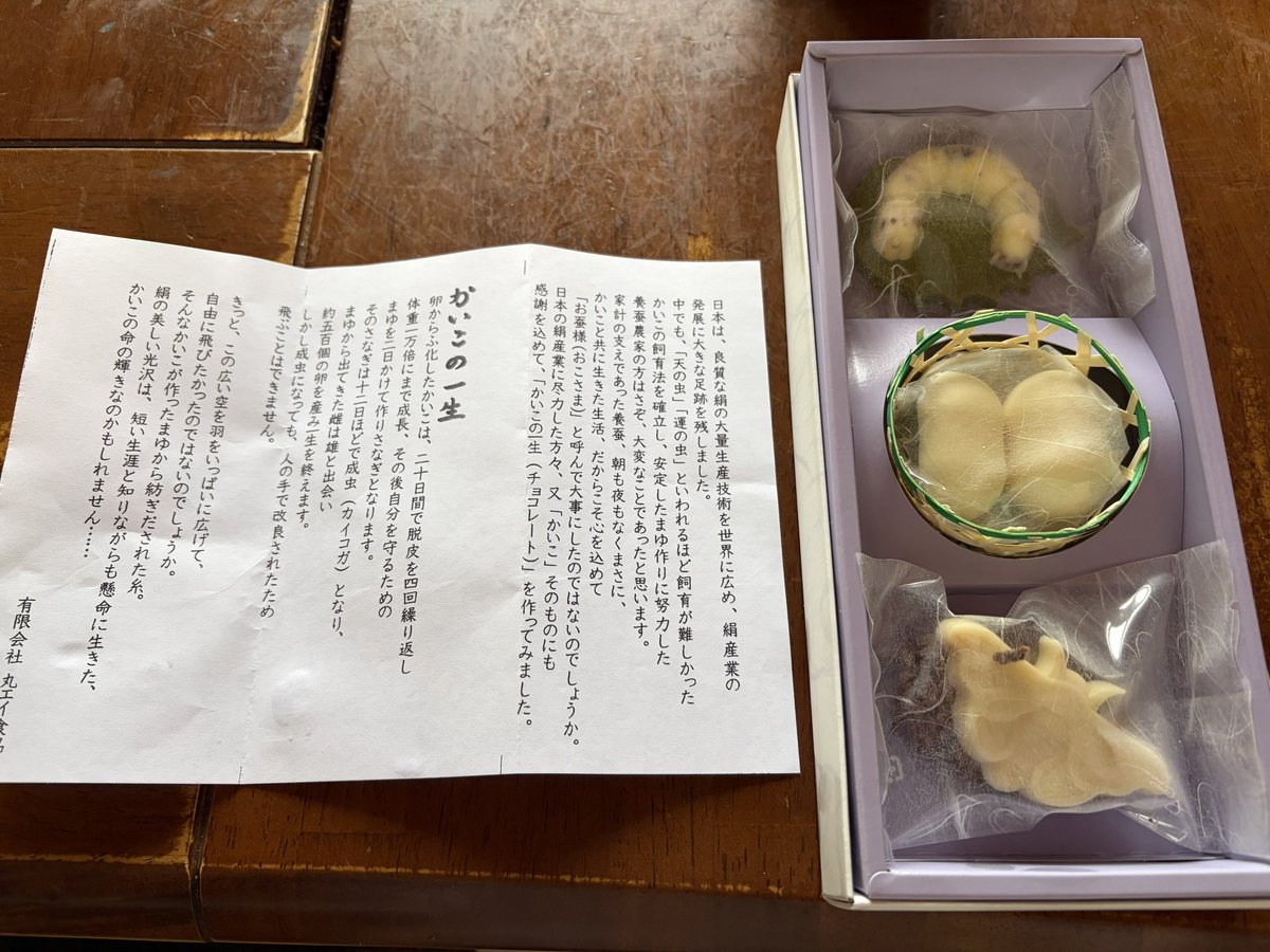 futakuto's tweet photo. 本物そっくりなチョコを買ってしまった。
説明文を読んでビックリ、蚕の成虫て飛べないの⁉️😳 https://t.co/Ttz177qluy