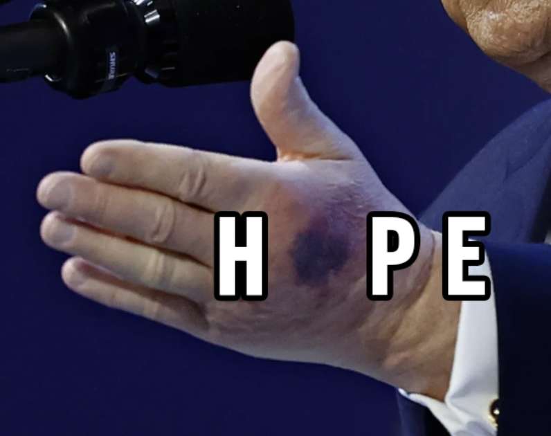 Meta Titter tweet media