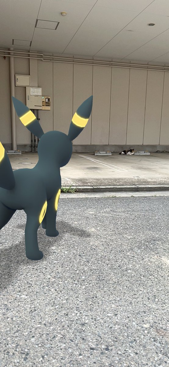ExperimentAo's tweet photo. Pokémon GO の楽しさを体験しよう！https://t.co/DuaJB0ftHH野生のにゃんこが現れた https://t.co/hXNOOdt9YK