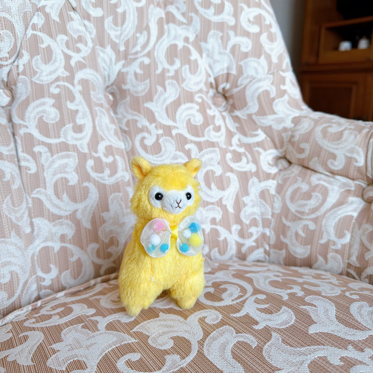 pakamarin's tweet photo. 🦙🪑🍀
#アルパカッソ #ぬい撮り #アミュキャラぬい撮り https://t.co/idpjsAF3kx
