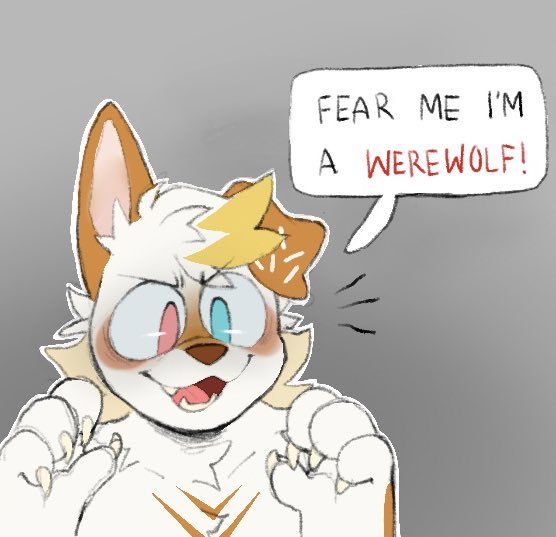 ✦ 𝗧𝗼𝗯𝘆 ✦ tweet media