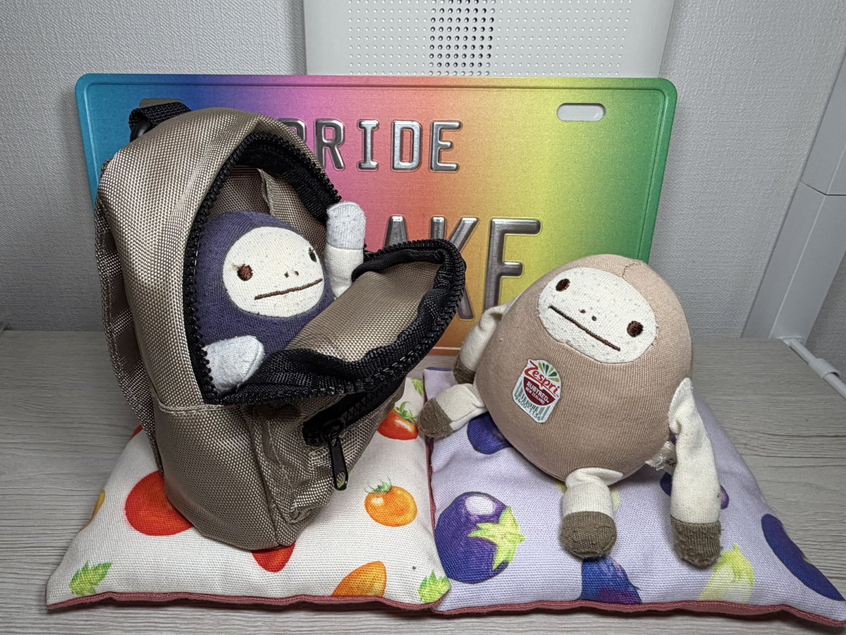 フライングタイガーのぬいポーチも、パカッと開くのが使いやすい