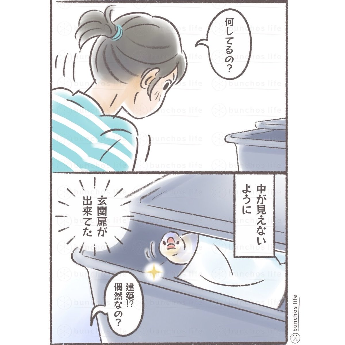 こむぎちゃん こむぎ🕊️ (@komugi_chan55) / Posts / X