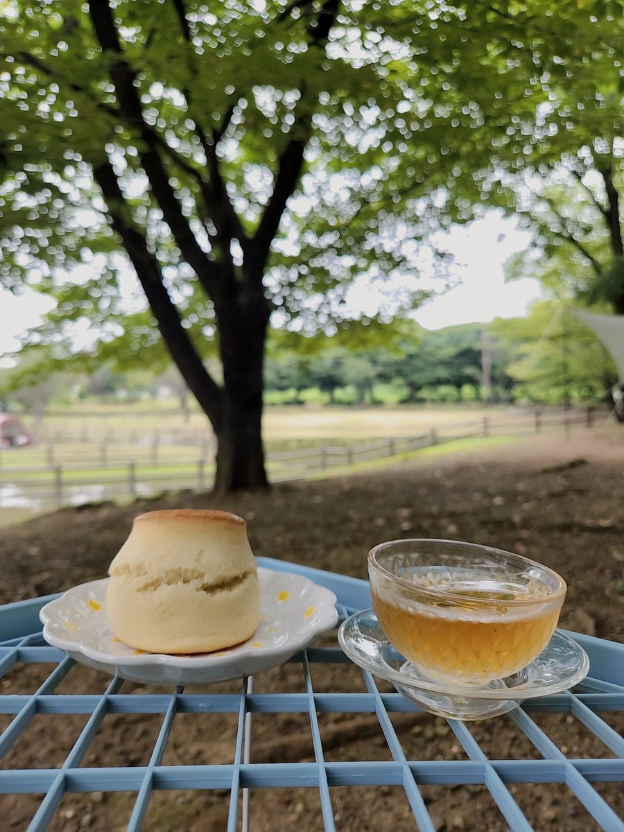 fumegu's tweet photo. 炭簡単に着いたー🔥
ホイル焼きもバッチリჱ̒⸝⸝•̀֊•́⸝⸝)

BBQ🍖🔥 一緒してくれる人大募集⸜(*˙꒳˙*)⸝ https://t.co/tU2UT248jr