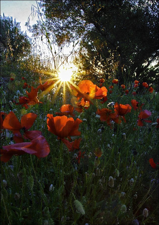 danjeffrio's tweet photo. Bonne journée à vous tous 😘😘 https://t.co/VTsjn5sz3b