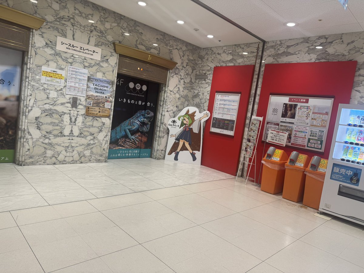 scramblenara's tweet photo. ミナーラさんの等身大パネルの位置ちょっと変わりました！
エレベーターガールやっております👐🏻 https://t.co/viDHxFdtM0
