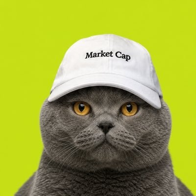 gottendo69's tweet photo. CAT WIF CAP

this will be the next big thing

0xc0b57404486bae3decd0f47c49406214a303dac8 https://t.co/FAiUZpRtzh