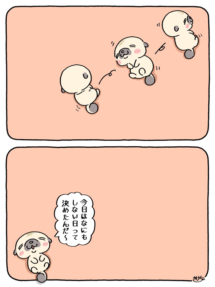 pug_no_mottan's tweet photo. こういう日があっても良いんだよ〜🐶 https://t.co/Z7JiS4OBnC