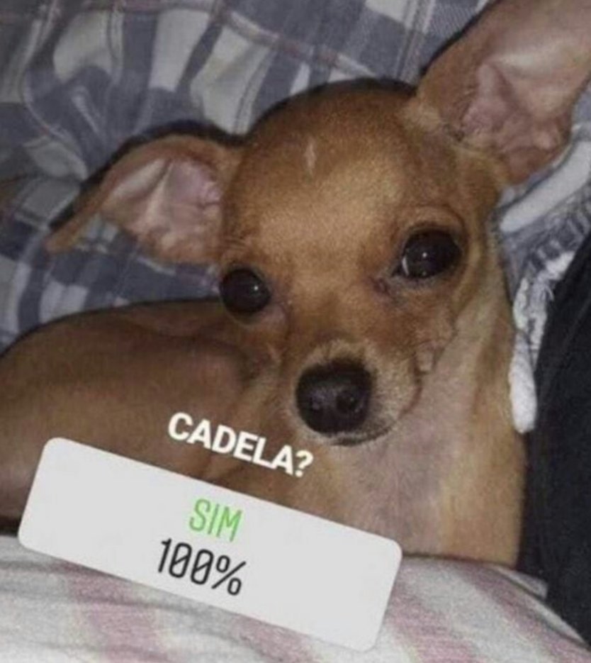 oicaropierre's tweet photo. @nikogdda Falaaaaaaa eu to num ódio https://t.co/SyNZcLv1LZ