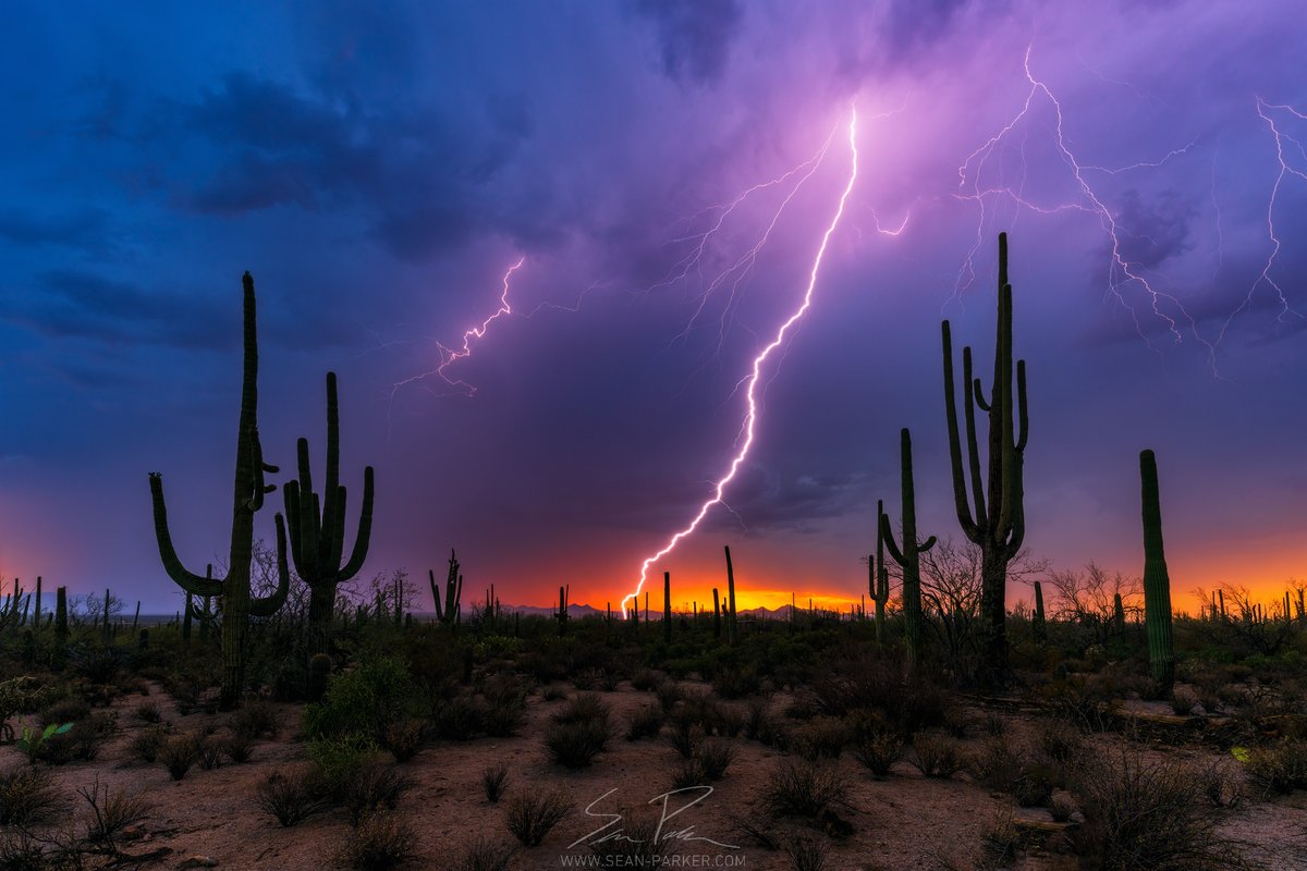 seanparkerphoto's tweet photo. Caught some killer bolts out in the desert tonight! #azwx #monsoon2026 #tucson #arizona https://t.co/owgsFvSFC4