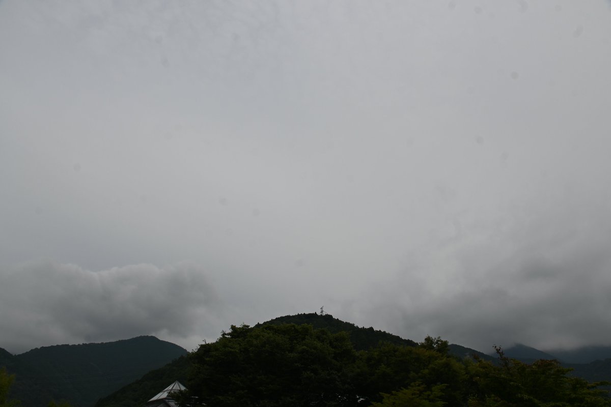 HadanoVC's tweet photo. 8時40分の気温26.5度 曇り
雲が広がり、蒸し暑くなっています。
東屋の天井に #ニホンヤモリ の卵を見つけました。割れた古い殻もあり、この場所は何度も使っているお気に入りの場所のようです。
少し歩いただけで汗が噴き出してきました。お出掛けの際は水分・塩分補給をして熱中症にご注意ください。 https://t.co/4ybtNfjc78