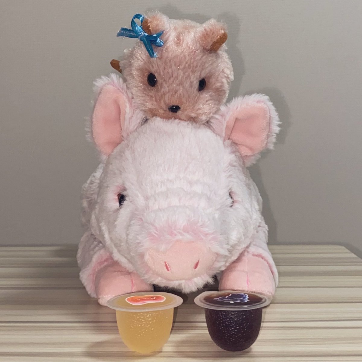 gph2_202's tweet photo. 今日は小さなお友達とゼリーを食べますっ！
#サンレモン #ひざぶた #フラッフィーズ https://t.co/SLM8y21neA