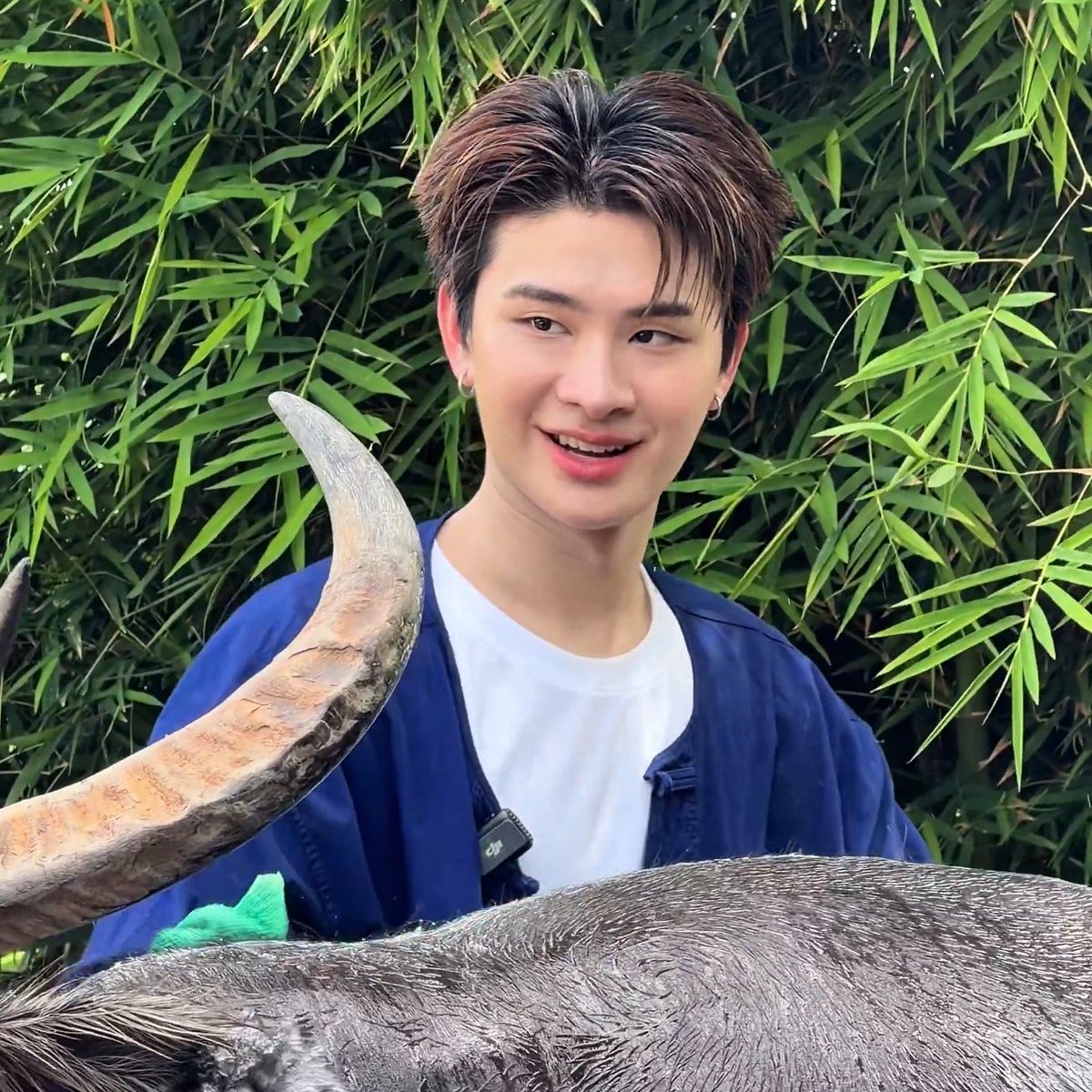 pungmiyou's tweet photo. คิดอยู่เด้ว่าอ้าย เป็นเทพบุตรแปลงกาย
สะบ้อทั้งหัวใจ คือละลายจั่งซี่ https://t.co/ZK7Leda2FO